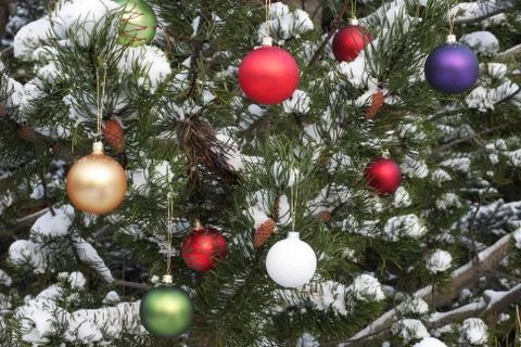 Snowy pine tree Stock Photos