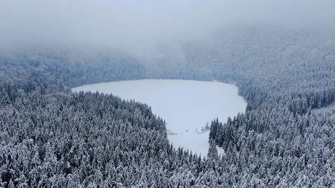 Snowy pine trees and lake landscape filmed from a drone Stock Footage 103138688