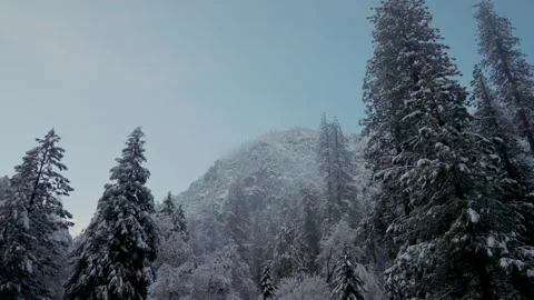 Snowy pine trees below misty granite peak in winter Stock-Footage 347988173