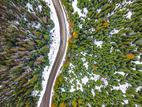 Snowy Pine trees Canada Stock Photos