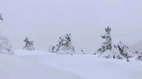 Snowy plain. Stock Footage 86494162