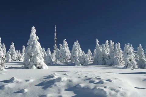 Snowy Plain Foto stock