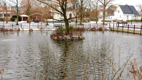 Snowy pond with island tree Stock Footage 307397579
