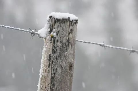 Snowy Post Stock Photos