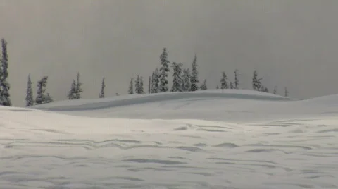 Snowy pristine BC Backcountry HD Stock Footage