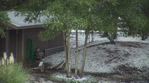 Snowy ranch 2, breezy, 60fps Video stock 24451206