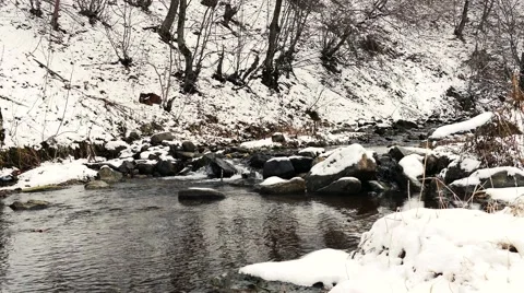 Snowy River Crossing in Winter Vidéo 58687704