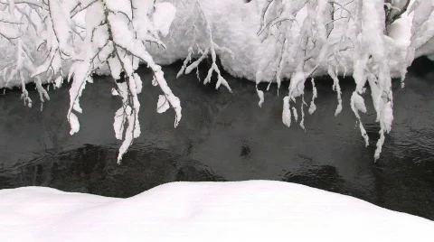 Snowy River 스톡 동영상 311139