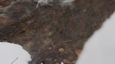 Snowy River Video stock 40429558