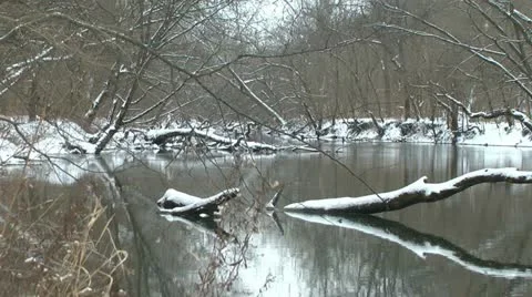 Snowy river in the forest Stock Footage 17800402