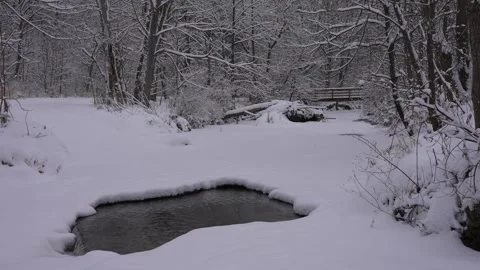 Snowy River Hole Surrounded by Forest Stock Footage 305957502