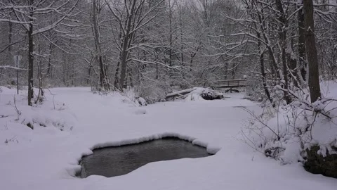 Snowy River Hole with Upward Camera Pan Stock Footage 305957658