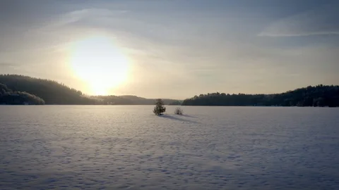 Snowy River Island with Trees Stock Footage 125106516