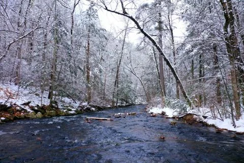 Snowy river Fotos de archivo