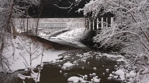 Snowy River Running Under Old Bridge Stock Footage 305957631