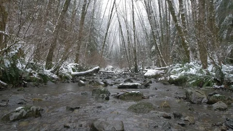 Snowy river wide Stock Footage 85615720