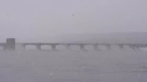 Snowy Riverfront with Eagles Diving for Food at Lock and Damn Stock Footage 104891989