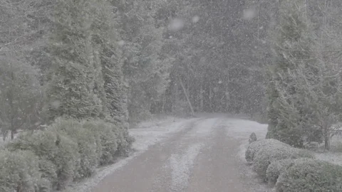 Snowy road 60fps SLOG3 Stock Footage 74630705