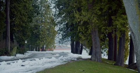 Snowy road after storm through urban park Stock-Footage 129786480