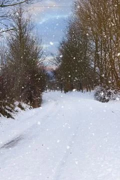 Snowy road between trees. Endless snowstorms can interrupt traffic. Stock Photos