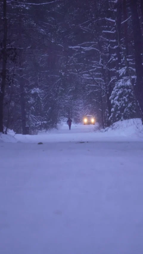 Snowy road in a dark pine forest at dusk Video stock 325814448