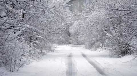 Snowy Road In The Forest   Stock Footage 47621043
