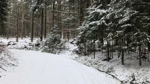Snowy road in the forest Stock Footage 200791940