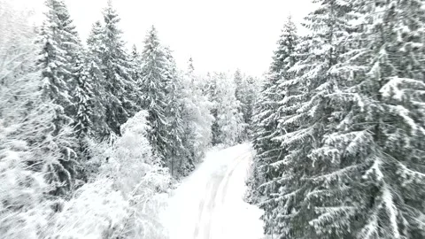Snowy road in the forest top view . Winter landscape. Snowy day. Video from a Stock Footage 168905388