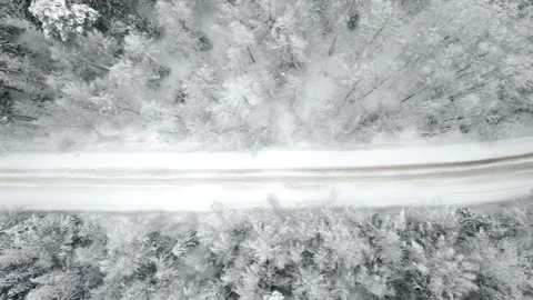 Snowy road in the forest top view . Winter landscape. Snowy day. Video from a Stock Footage 169379510