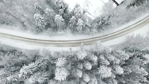 Snowy road in the forest top view . Winter landscape. Snowy day. Video from a Stock Footage 169379525