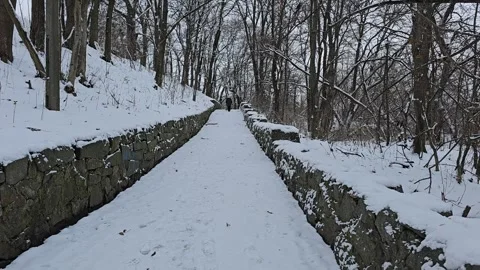 Snowy Road In The Park Stock Footage 295351916