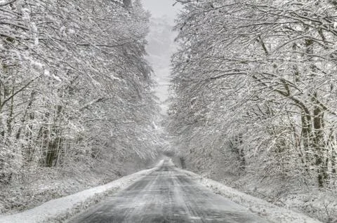 Snowy road Stock Photos