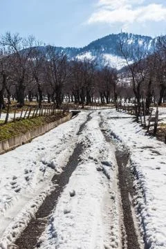 Snowy road Stock Photos
