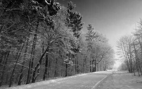 The snowy road Foto stock