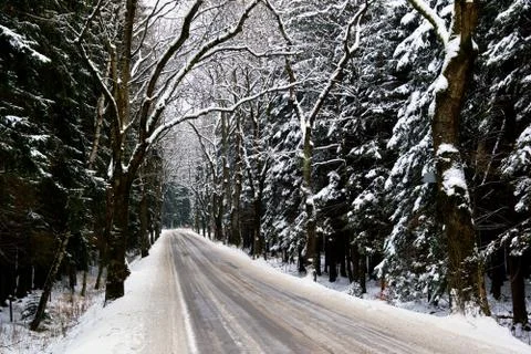 Snowy road Stock Photos