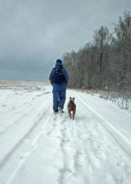 On the snowy road Foto stock