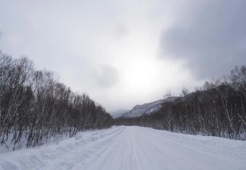 The snowy road Stock Photos