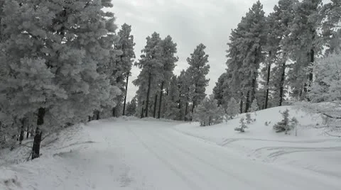 Snowy road surrounded by ice covered trees Stock-Footage 10743396