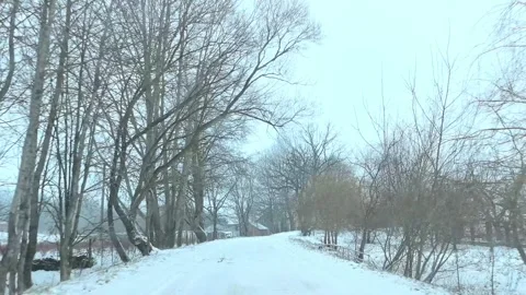 Snowy road surrounded by trees in rural area during winter season Stock-Footage 326694848