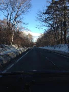 Snowy Road Through Bare Trees Foto stock