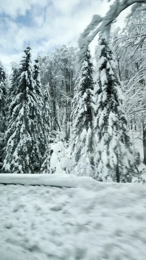 Snowy Road Through Winter Forest Stock Footage 294987009