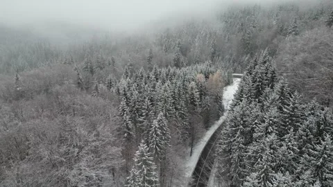 Snowy Road Through a Winter Forest Vidéo 300507028