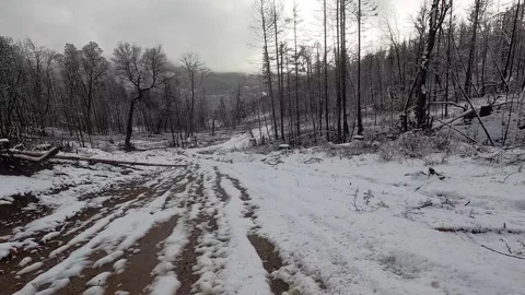 A snowy road with trees in the background Stock Footage 272658477
