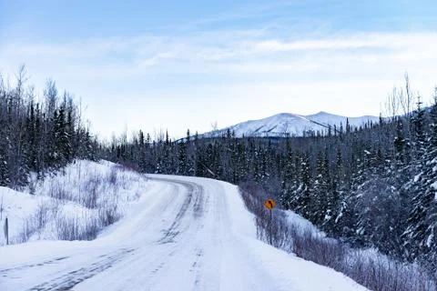 Snowy road with trees Stock Photos