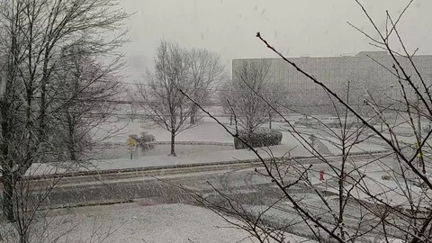 Snowy road, view from office 库存影片 87098333