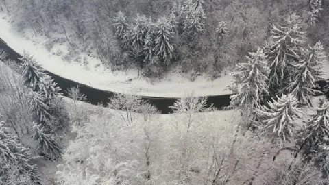 Snowy Road Winding Through a Dense Evergreen Forest in Winter Aerial View 库存影片 331167485
