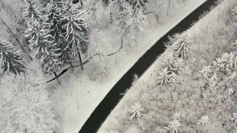 Snowy Road Winding Through a Dense Evergreen Forest in Winter Aerial View Vidéo 331167525
