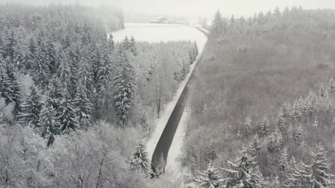 Snowy Road Winding Through a Dense Winter Forest in the Countryside 库存影片 331167558