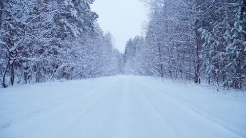 Snowy road in the winter forest. Cloudy weather and snow falling. Video stock 254556779