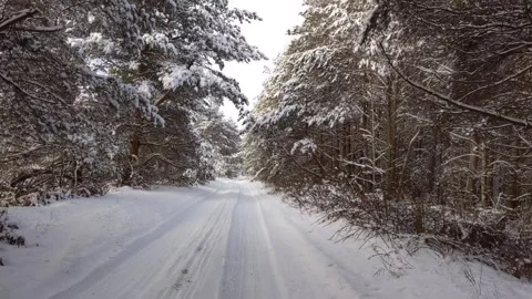 Snowy road in winter forest Stock Footage 337487911